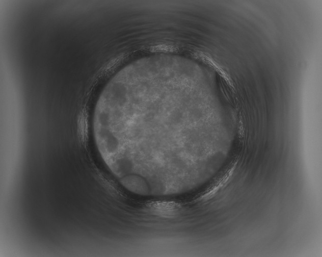 X0000100230637200806201445