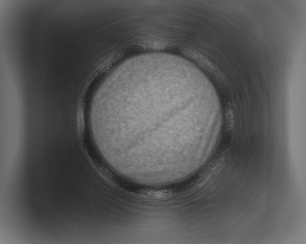 X0000100230638200806201445