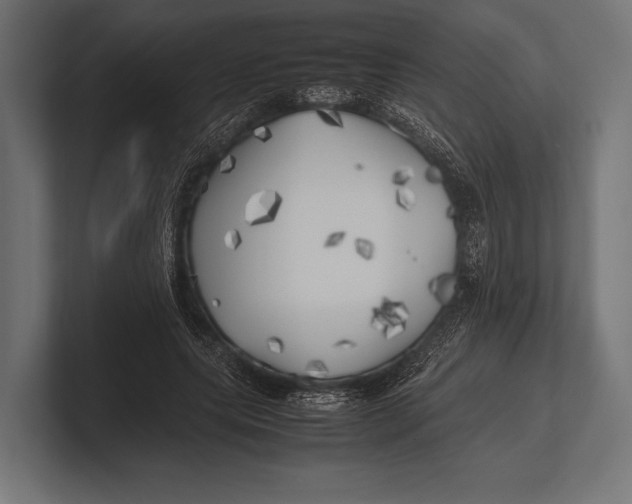 X0000100230639200806201445