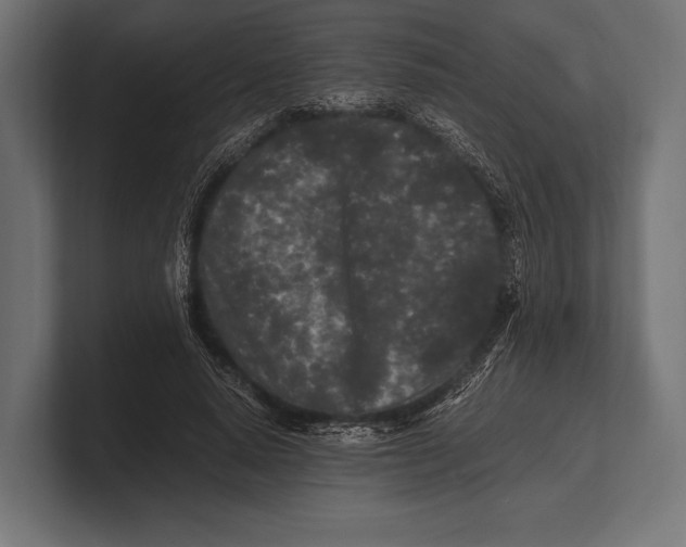 X0000100230640200806201445