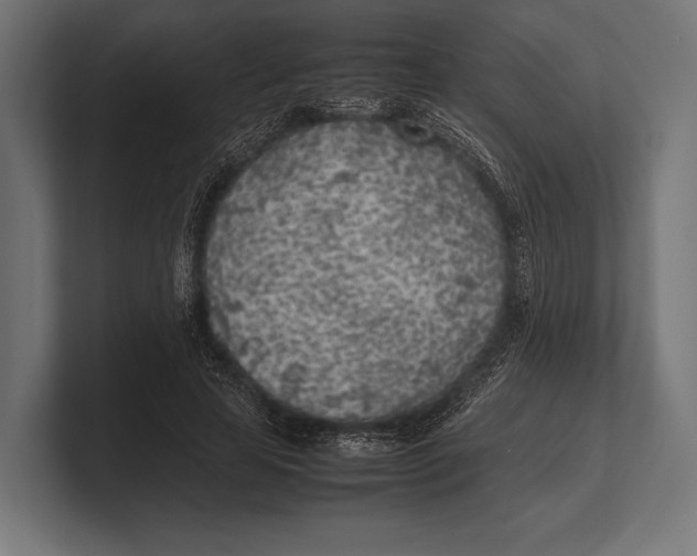 X0000100230641200806201445