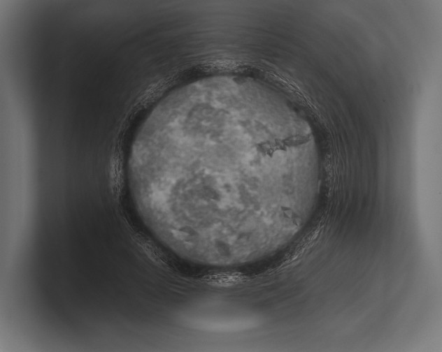 X0000100230642200806201445