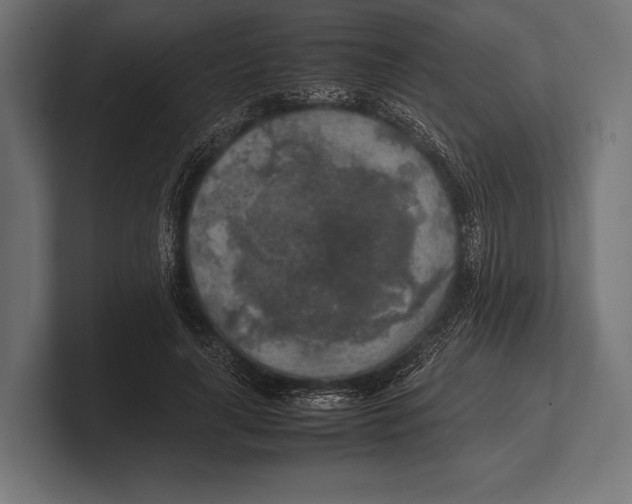 X0000100230643200806201445