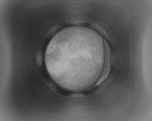 X0000100230644200806201445