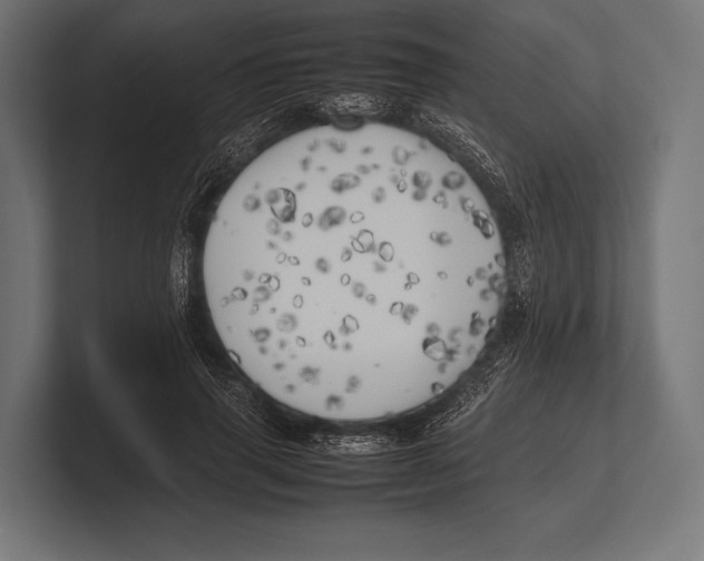 X0000100230645200806201445