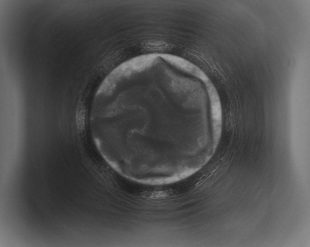 X0000100230647200806201445