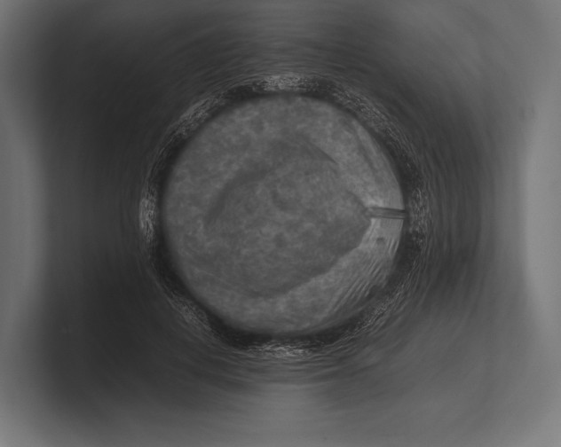 X0000100230648200806201445