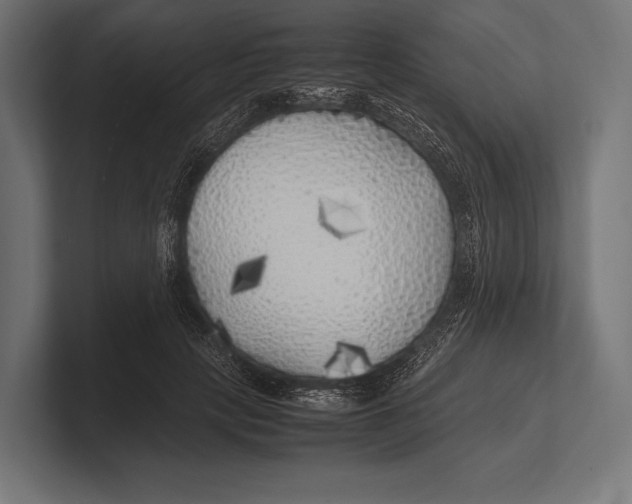 X0000100230649200806201445