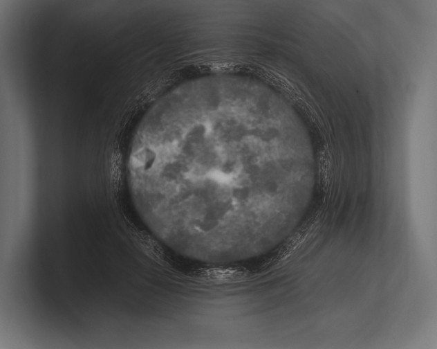 X0000100230650200806201445