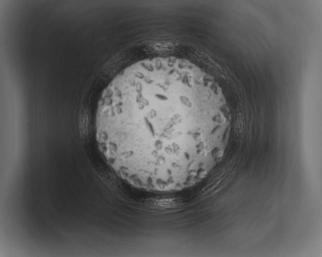 X0000100230651200806201445