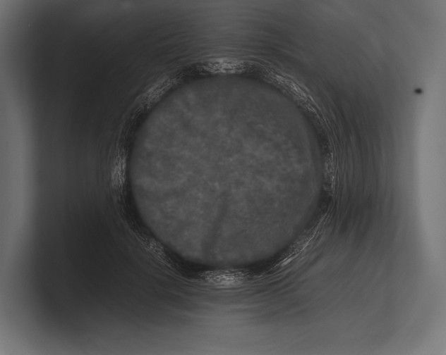 X0000100230652200806201445