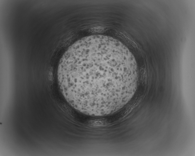 X0000100230655200806201445