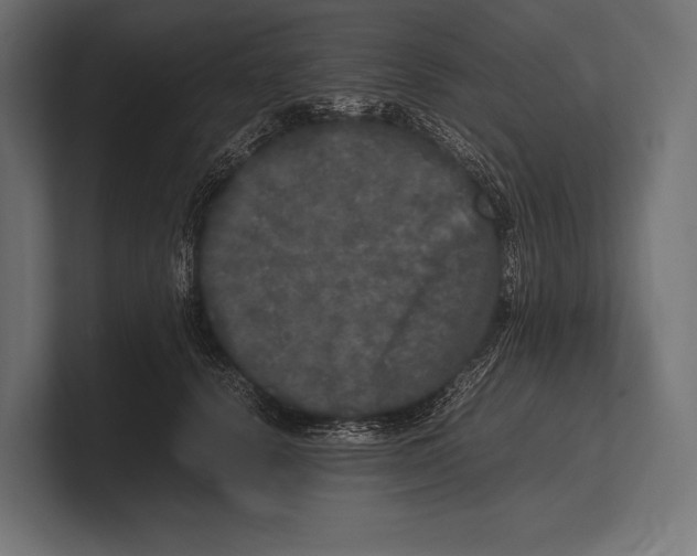 X0000100230656200806201445