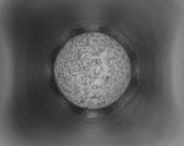 X0000100230658200806201445