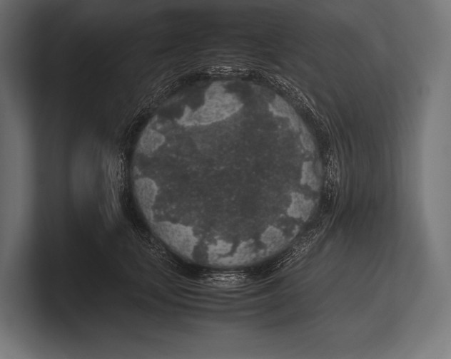 X0000100230659200806201445