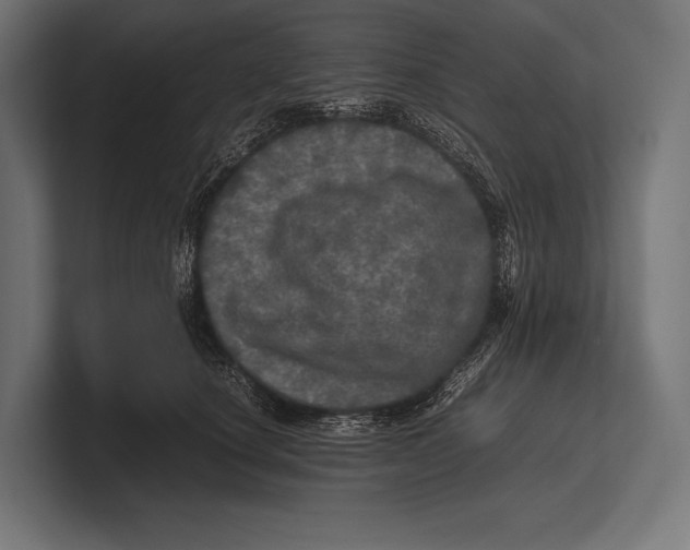 X0000100230660200806201445