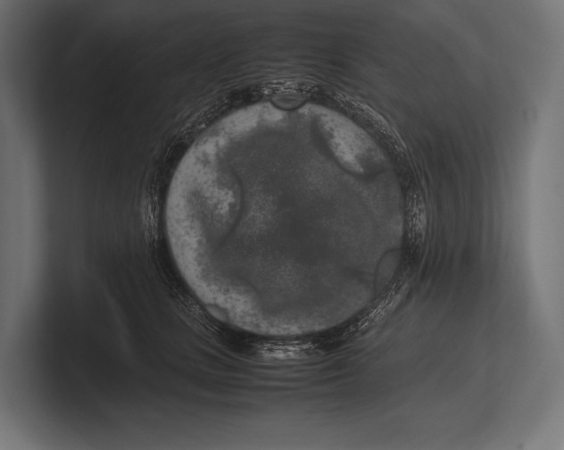 X0000100230661200806201445