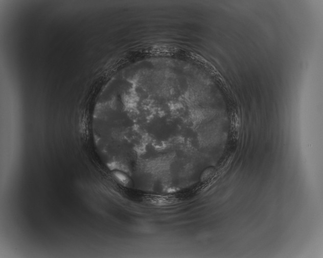 X0000100230663200806201445