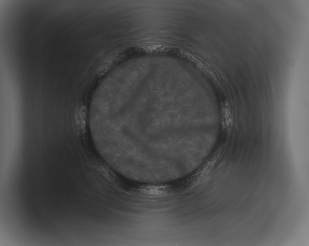 X0000100230664200806201445