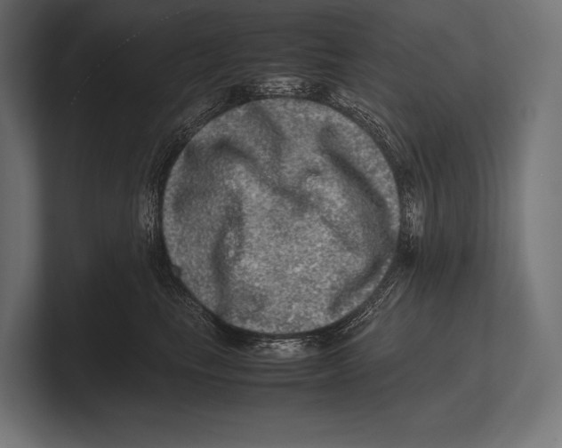 X0000100230665200806201445