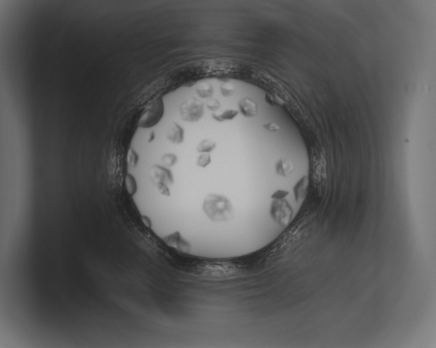 X0000100230666200806201445