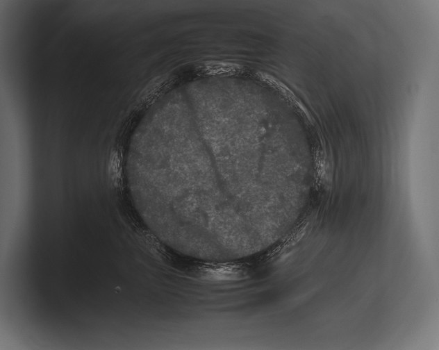 X0000100230667200806201445