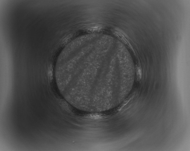 X0000100230668200806201445