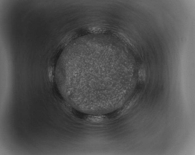 X0000100230671200806201445