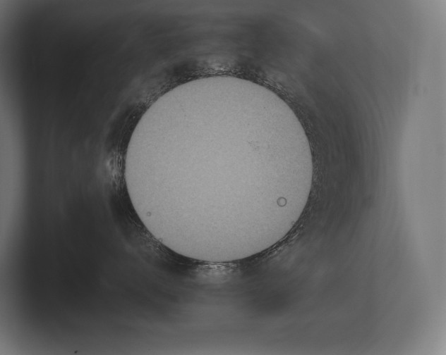 X0000100230672200806201445