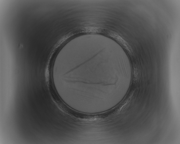 X0000100230674200806201444