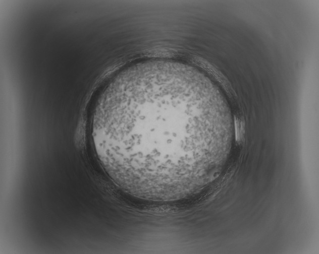 X0000100230675200806201444