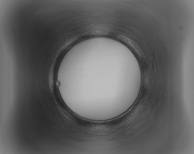 X0000100230677200806201444