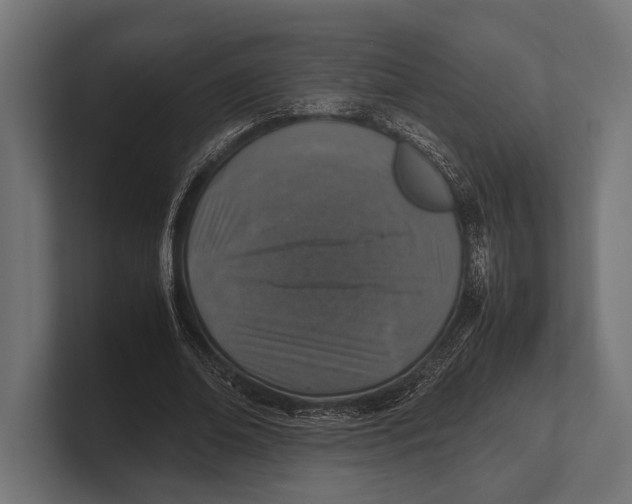 X0000100230678200806201444