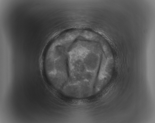 X0000100230679200806201444