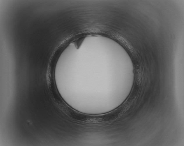 X0000100230680200806201444