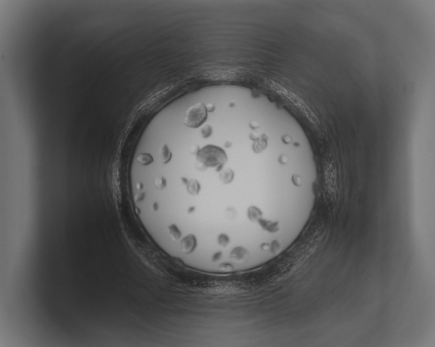 X0000100230682200806201444