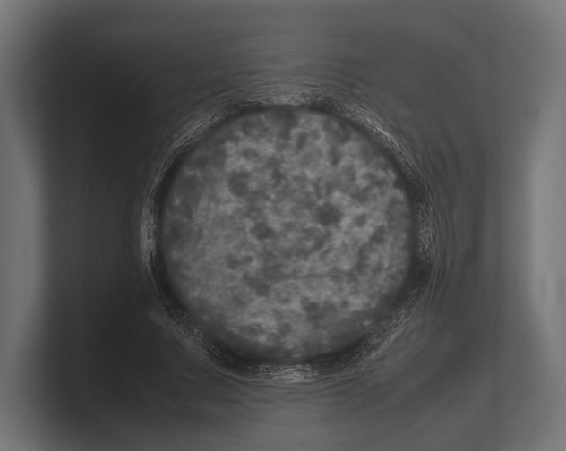 X0000100230683200806201444