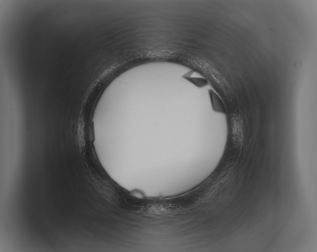 X0000100230684200806201444