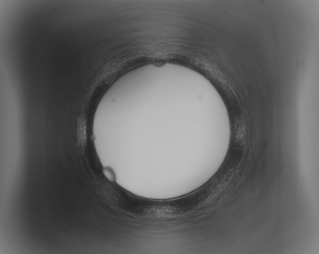 X0000100230685200806201444