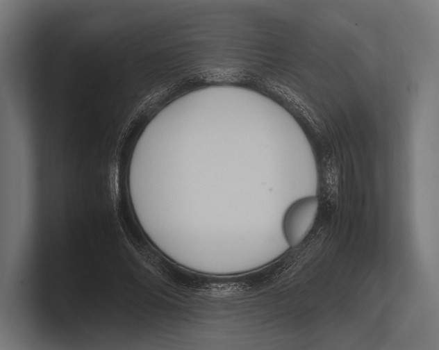 X0000100230686200806201444