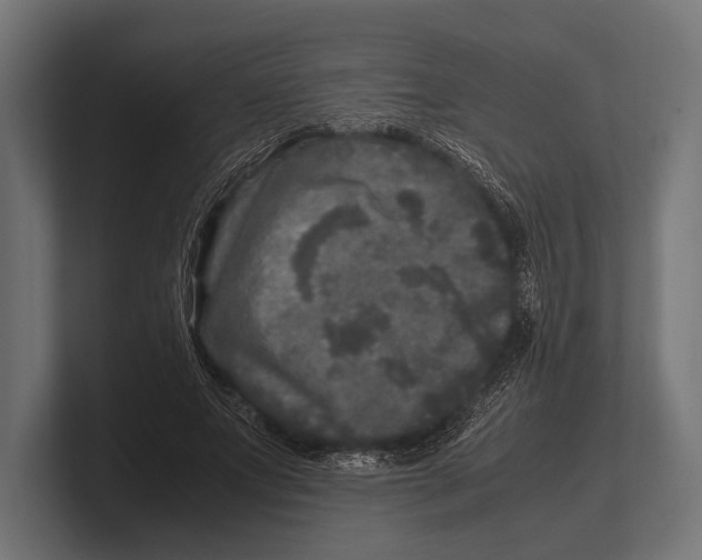 X0000100230687200806201444