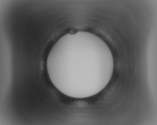 X0000100230689200806201444