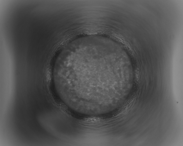 X0000100230691200806201444