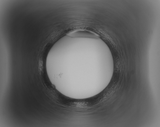 X0000100230693200806201444