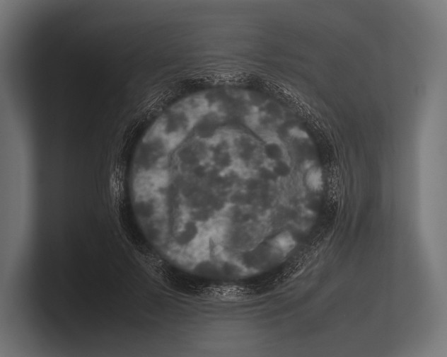 X0000100230695200806201444