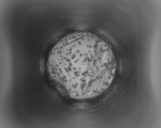 X0000100230696200806201444