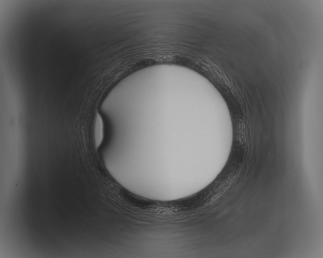 X0000100230697200806201444