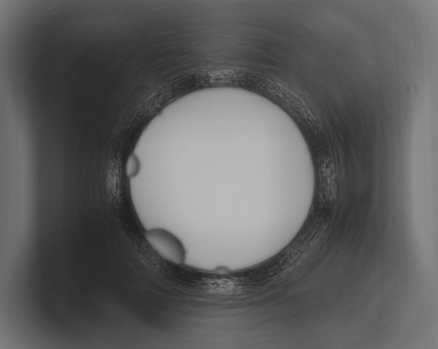 X0000100230698200806201444