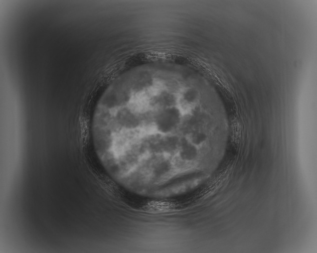 X0000100230699200806201444