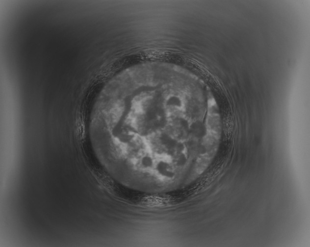 X0000100230703200806201444